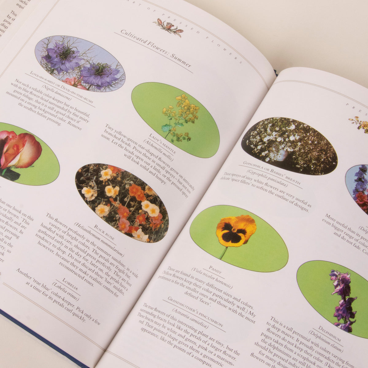 The Art of Pressed Flower Book
