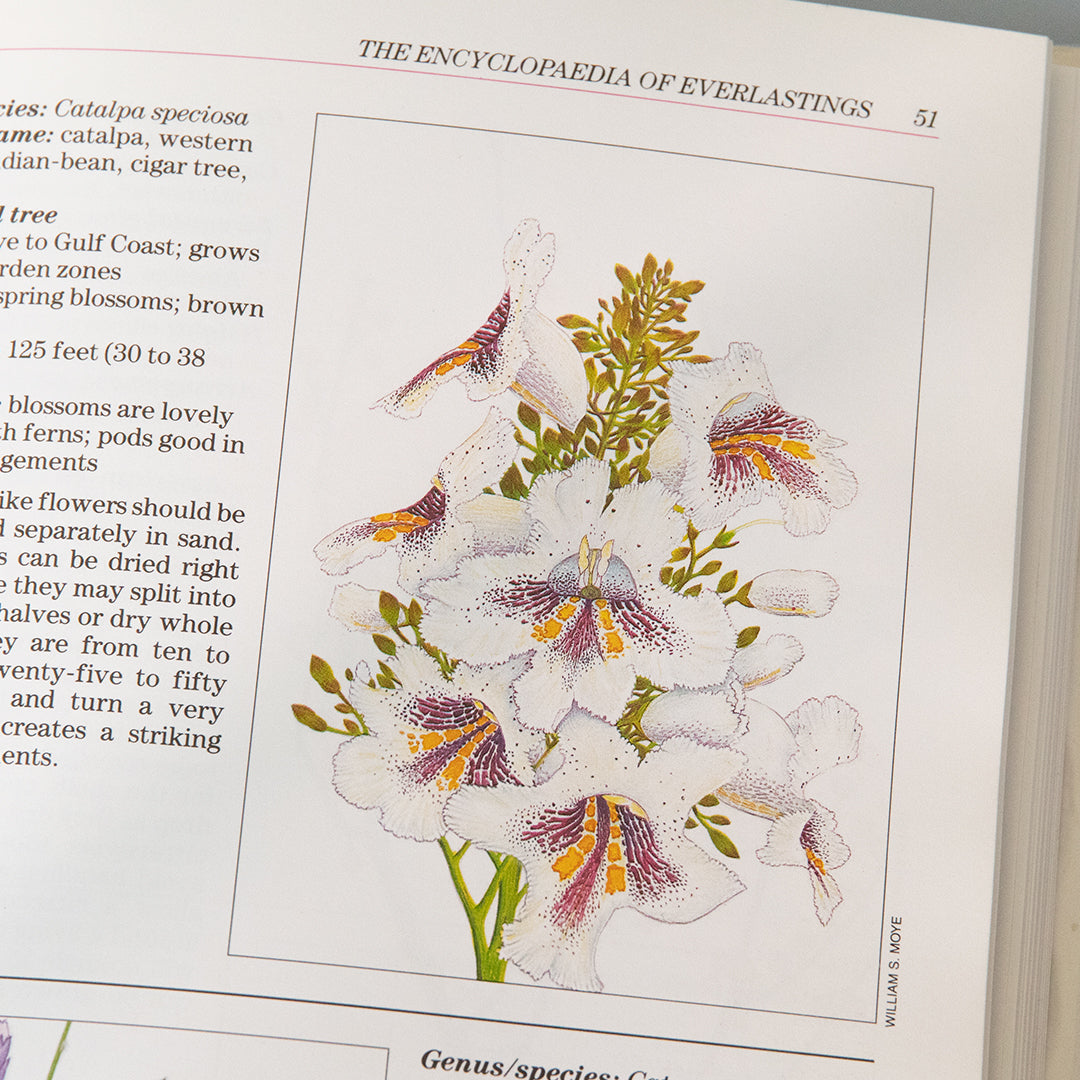 Encyclopedia of Everlastings