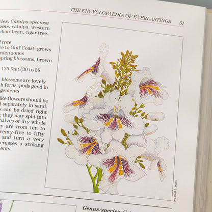 Encyclopedia of Everlastings