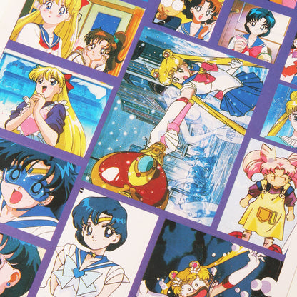 Sailor Moon Sticker Sheet - Design 6